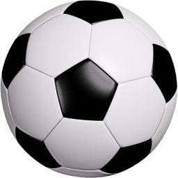 207234:COM-WWW:207234:COM